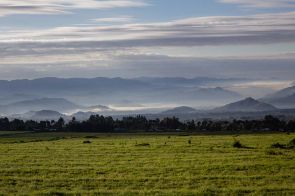 Volcanoes National Park - Rwanda