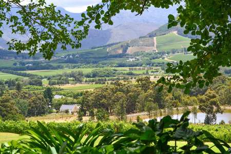 Coast to Coast Safari in Cape Town, Winelands and Garden Route